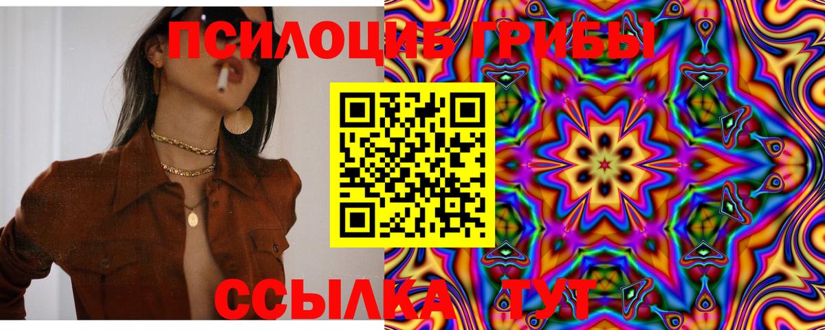 Новокуйбышевск  Галлюциногенные грибы Psilocybine cubensis  Вход с VPN 