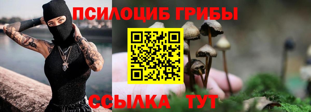 Галлюциногенные грибы Cubensis Новокуйбышевск